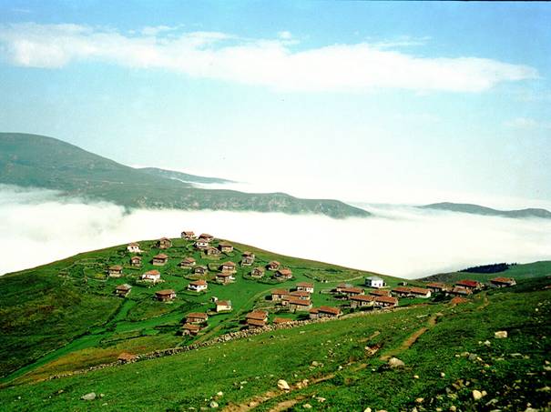 Trabzon L.Y.D.